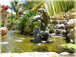 pond with water feature